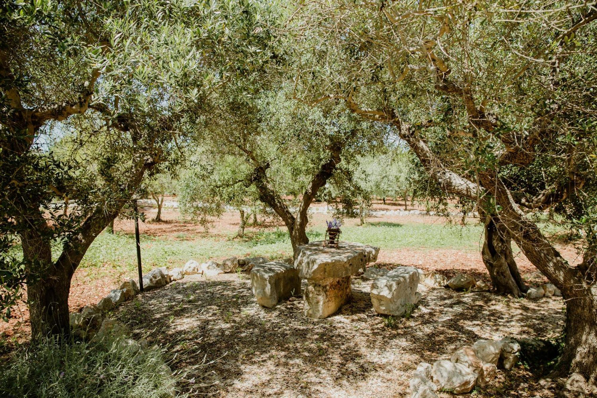 Antica Tenuta Dei Trulli By Qualitravel Алберобело Екстериор снимка